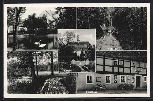 AK Sdier /Bautzen, Forsthaus mit Gasthof Richard Schuster, Kirche, Wald-Idyll, Schwanenteich