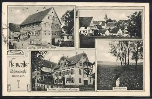 AK Neuweiler / Calw, Gasthaus zum gold`nen Lamm, Teinachquelle, Teilansicht