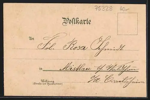 Lithographie Schömberg / Wildbad, Neues Kurhaus, Gasthaus zur Linde, Totale