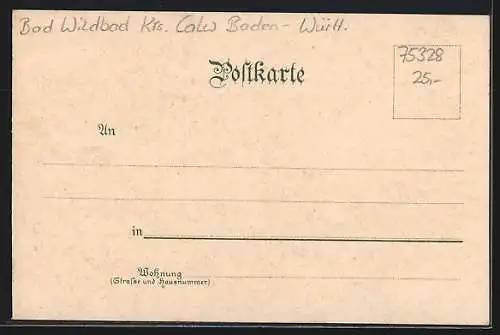 Lithographie Schömberg /Wildbad, Gasthaus zur Linde, Strassenpartie, Neues Kurhaus, Ortsansicht
