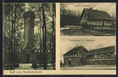AK Nienstedt / Springe, Gasthaus zur Deisterquelle, Försterei Nienstedt und Nordmannsturm
