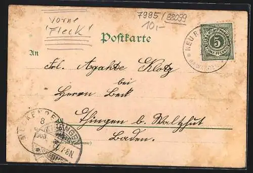 Lithographie Neukirch / Tettnang, Schule und Rathaus, Totalansicht