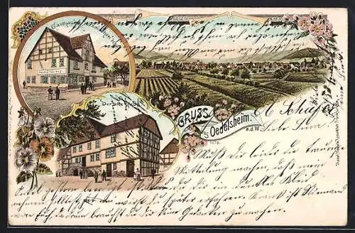 Lithographie Oedelsheim, Gasthaus z. hessischen Hof, Gasthaus der alte Krug, Totalansicht