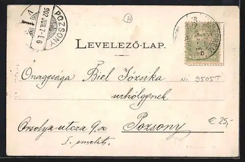 AK Veszprém, Var-utcza