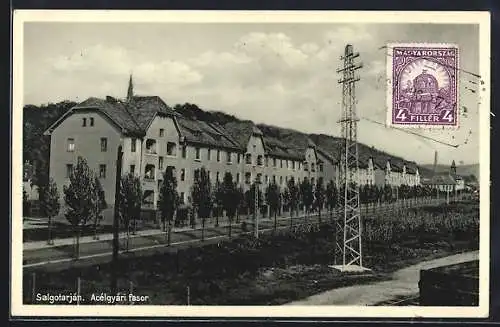 AK Salgotarján, Acelgyari fasor
