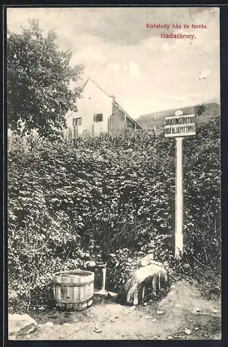 AK Badacsony, Kisfaludy haz es forras