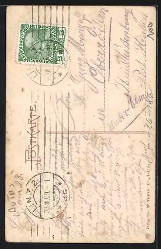 Künstler-AK Eugen Felle: Passau, Ortsansicht mit Oberhaus, Innstadt und Inn, Neuburg, Niederhaus