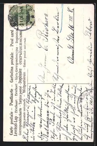 Präge-AK Neujahrsengel und Fee auf riesigem Kleeblatt