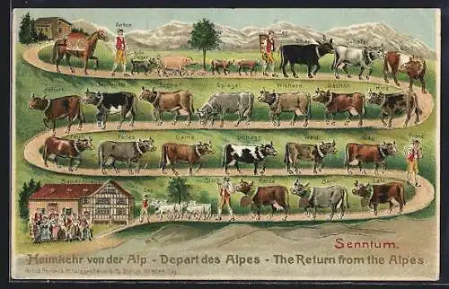 AK Heimkehr von der Alp, Sentum, Bauernhaus, Kühe mit Namen