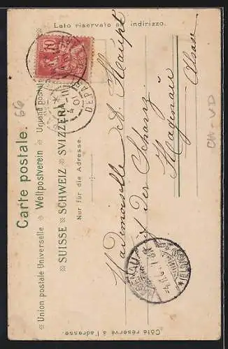 AK Schweizer Paar aus Vaud in Tracht