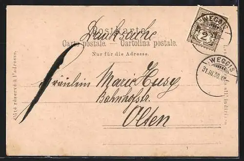 AK Weggis, Pension Lützelau am Vierwaldstättersee