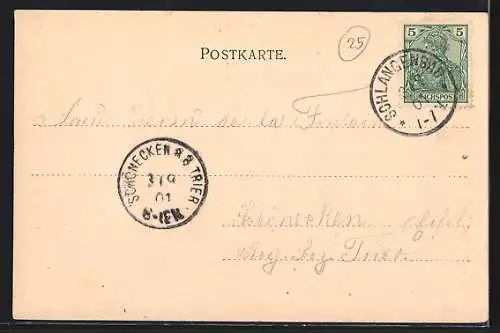 AK Schlangenbad, Ort und Talansicht, Kreuzotter um 1900