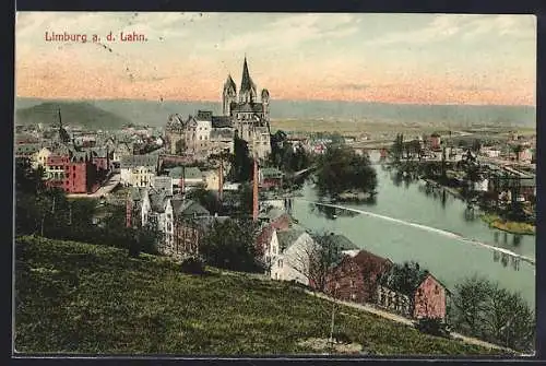 AK Limburg / Lahn, Panoramablick von der Bergwiese