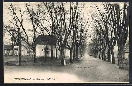AK Griesheim / Truppenübungsplatz, Avenue Galliéni, Partie im Ort