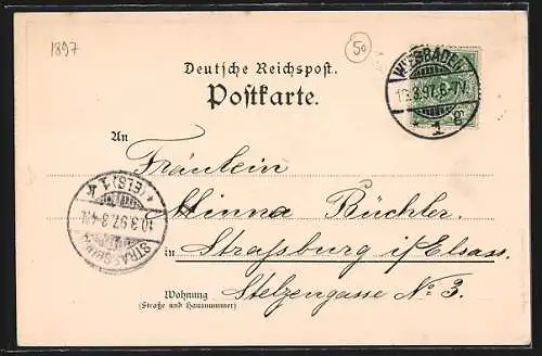 Lithographie Wiesbaden, Totale vom Neroberg, Ev. Kirche, Kochbrunnenplatz, Rathaus