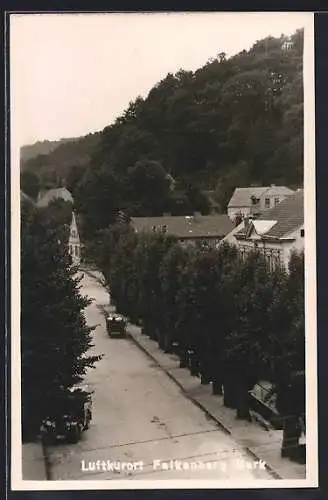 AK Falkenberg / Mark, Ortspartie