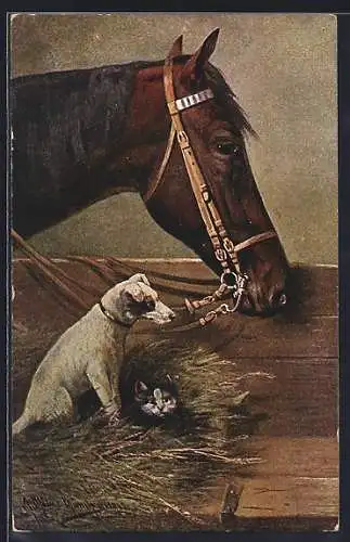Künstler-AK August Müller - München: Hund und Katze bei einem Pferd im Stall