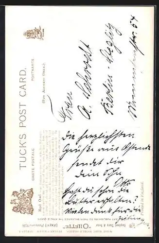 Künstler-AK Indianer-Häuptling Red Owl