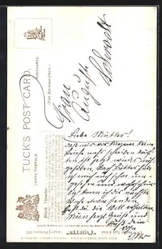 Künstler-AK Indianer-Häuptling Black Thunder