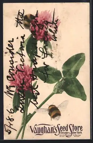 Künstler-AK Kleeblätter und -blüten mit Hummeln, Reklame für Vaughan`s Seed Store