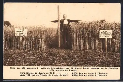 AK Reklame für Dünger, Nitrade de Soulde du Chili, Sans et avec