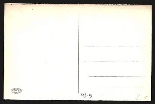 AK Hamburg, Festzug zur Jahrhundertfeier 1913, 27. Senatorenwagen