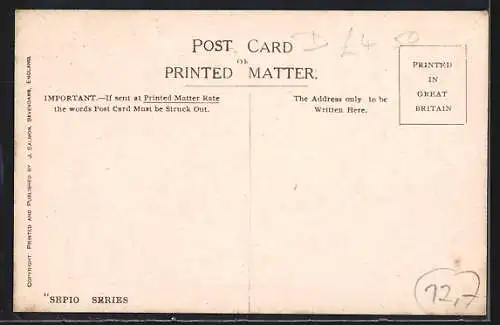 AK Tunbridge Wells, S. E. Station & Mount Pleasant