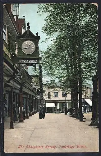 AK Tunbridge Wells, The Chalybeate Spring