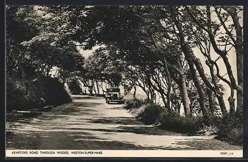 AK Weston-super-Mare, Kewstoke Road through Woods