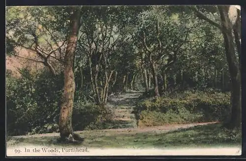 AK Portishead, In The Woods