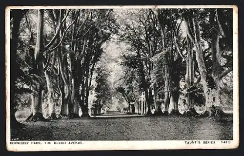 AK Cornbury, Park, The Beech Avenue