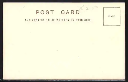 AK Richmond, The Terrace