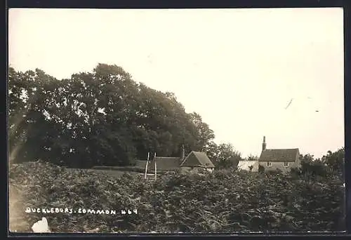 AK Bucklebury, The Common