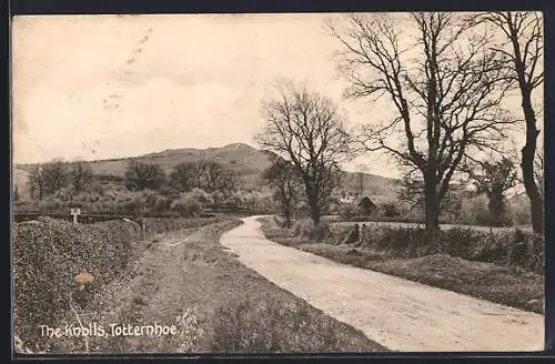 AK Totternhoe, The Knolls