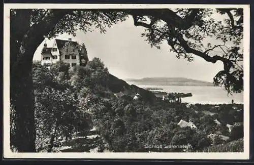 AK Salenstein, Das Schloss mit Seeblick