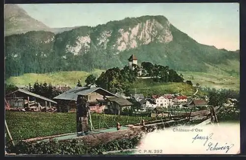 AK Château-d`Oex, Ortansicht mit Bergen