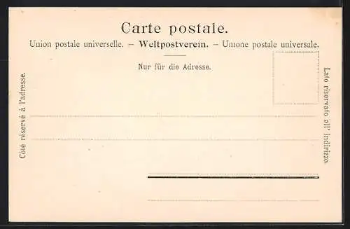 AK Neuchâtel, Teilansicht mit dem Schloss