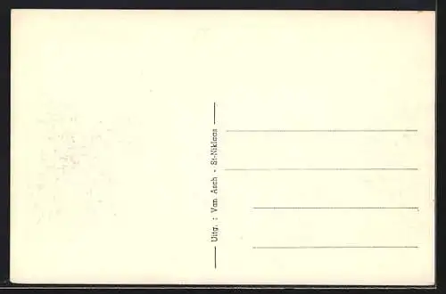 AK Saint-Nicolas-Waes, Marché