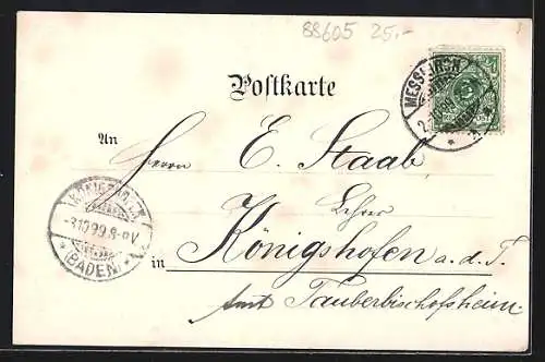 Lithographie Messkirch, Gesamtansicht, Forsthaus, Kreutzerdenkmal, Rathaus