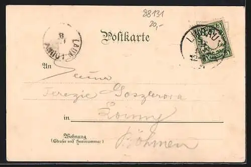 Lithographie Lindau / Bodensee, Landthor, Rathhaus u. neuer Brunnen, Hafen mit Schiffen