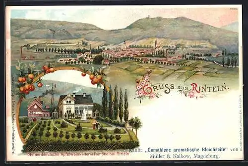 Lithographie Rinteln, Gesamtansicht, Apfelweinkellerei Pomona