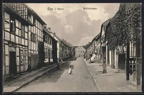 AK Elze i. Hann, Wallstrasse mit Anwohnern