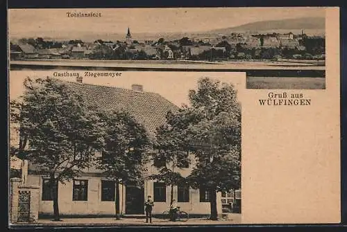 AK Wülfingen, Gasthaus Ziegenmeyer / Lindenkrug, Totalansicht mit Fernblick