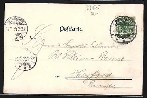 Lithographie Lippspringe, Hotel mit Garten, Ruine, Ortspanorama