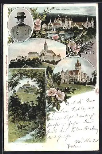 AK Altenburg / S.-A., Waldpartie, Leuchtenburg, Schloss Hummelshain, Schloss Fröhl. Wiederkunft