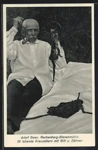 AK Rechenberg-Bienenmühle, Adolf Beier mit seinen 26 lebenden Kreuzottern