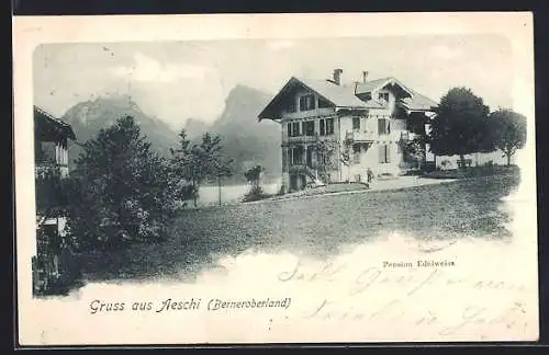 AK Aeschi /Berneroberland, Hotel-Pension Edelweiss