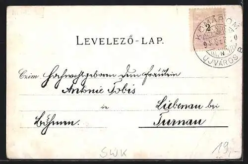 Lithographie Komorn, K. u. K. Militär-Casino, Sparcassa Palais, Donau-Brücke