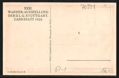 AK Stuttgart-Cannstatt, XXXI. Wander-Ausstellung der D. L. G. 1925, Deutsche Superphosphat-Industrie