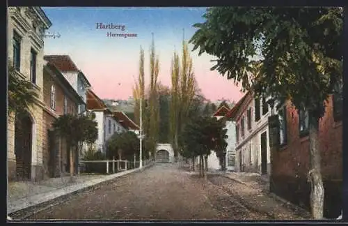 AK Hartberg, Herrengasse, Strassenblick